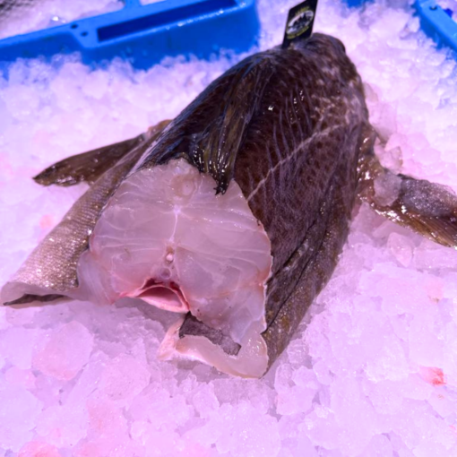 bacalao screy