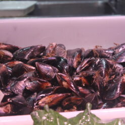 Comprar mejillón gallego