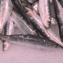 comprar sardinas