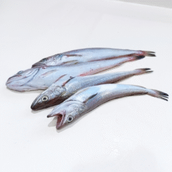 comprar pescadilla de costa online