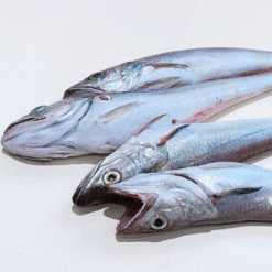 comprar pescadilla online