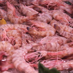 langostino tigre de sant carles de la ràpita