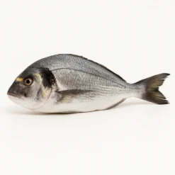 Dorada nacional de cultivo