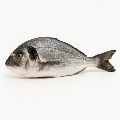 Dorada nacional de cultivo