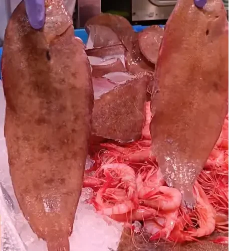 Lenguado fresco - costa pujol peixaters