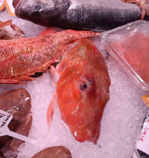 Lucerna pescado - Costa Pujol Peixaters Lucerna pescado