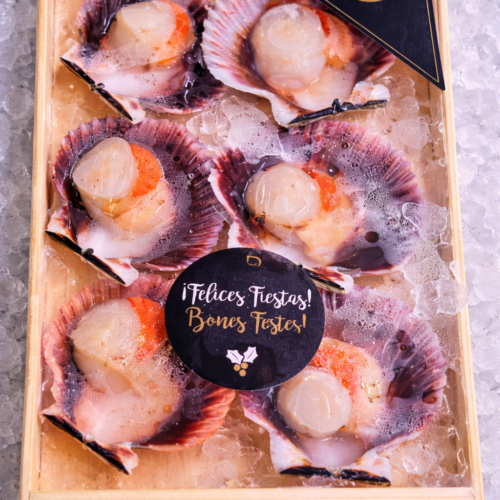 Zamburiñas (Bandeja 6u)